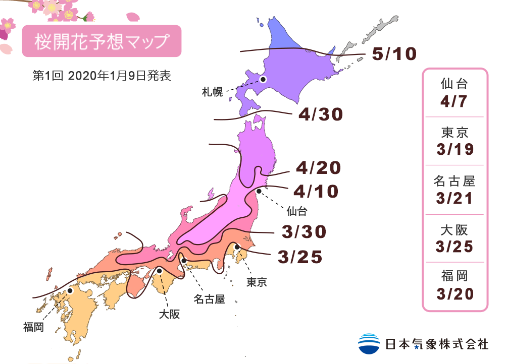 2020 日本櫻花季開花預測情報