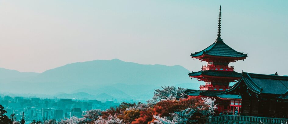 意見回饋 / Contact Us